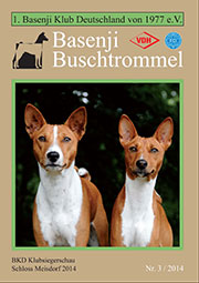 Buschtrommel