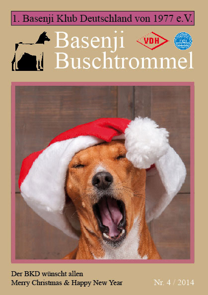 Buschtrommel