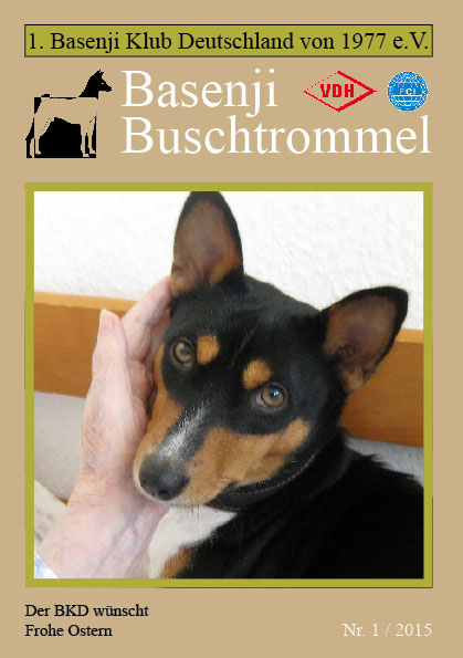 Buschtrommel