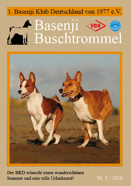 Buschtrommel