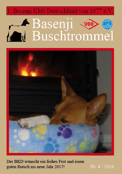 Buschtrommel