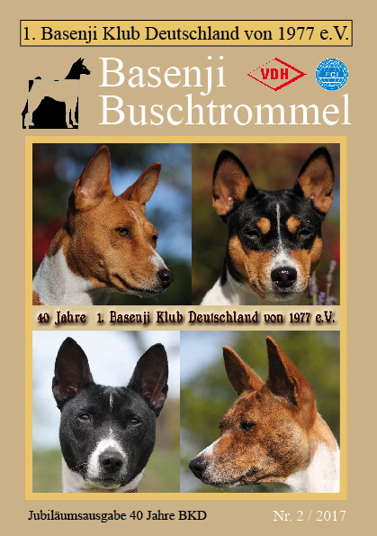 Buschtrommel