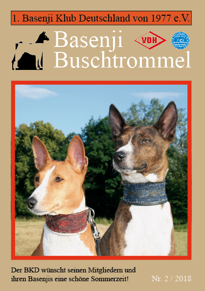 Buschtrommel
