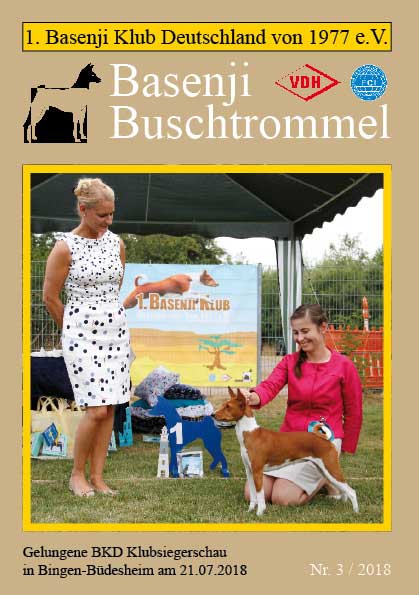 Buschtrommel