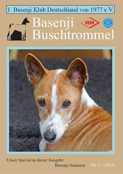 Buschtrommel