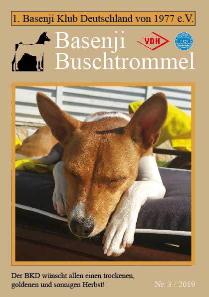 Buschtrommel