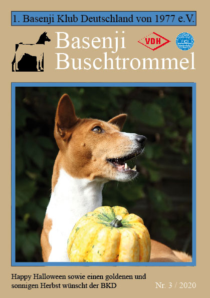 Buschtrommel