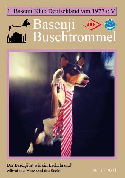 Buschtrommel