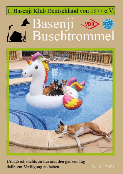 Buschtrommel