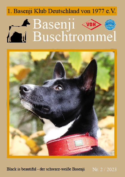 Buschtrommel