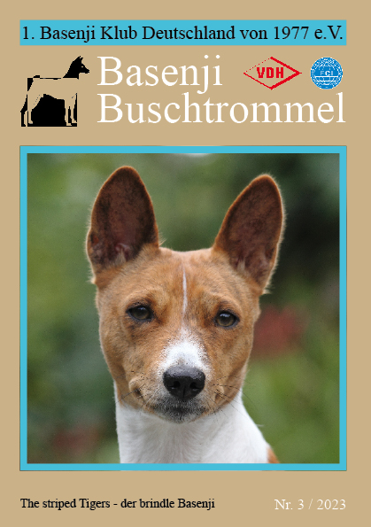 Buschtrommel